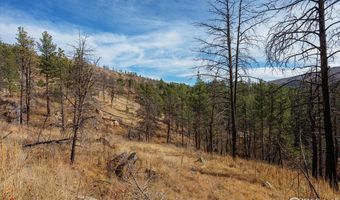 0 Cougar Cir Ct, Bellvue, CO 80512