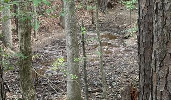 Lot 3a Elberton Highway, Lincolnton, GA 30817