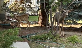 1024 Red Butte Ave, Cody, WY 82414