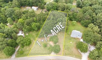 1386 Etheridge Dr, Auburn, GA 30011