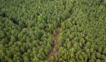 0 Center Dr Carolina Crk, Abbeville, SC 29620