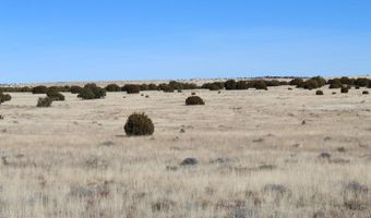 13 County Road 8006, Concho, AZ 85924