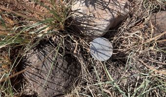 1342 County Road 5020, Concho, AZ 85924