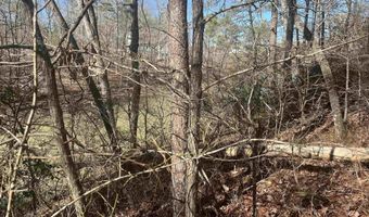 Lot 41 Sipsey Overlook, Double Springs, AL 35553