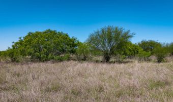 FM 735, Alice, TX 78332