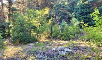 End of El Salto Road, Arroyo Seco, NM 87514