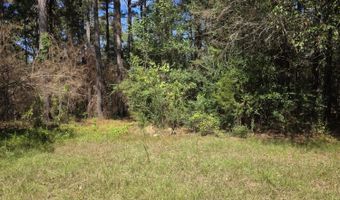 2862 Wallace Dr, Bogue Chitto, MS 39629