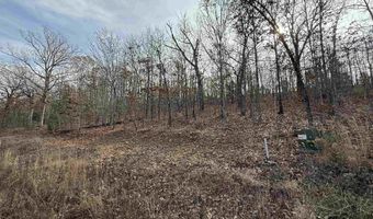 Tract 91 Vernon Court Road, Austin, AR 72007