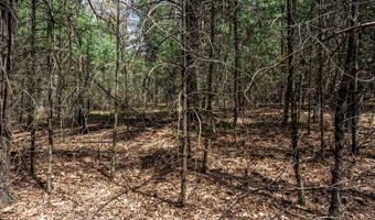 S Badger Lane lot 39, Arkdale, WI 54613