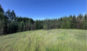 NW LODGE Rd, Banks, OR 97106