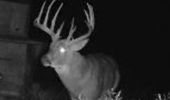 1299 E US HWY 160, Argonia, KS 67004