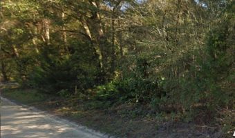 Lot 52 NW 36th Lane, Bell, FL 32619