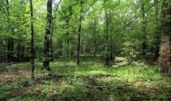 000 AVE 5 SW St, Atkins, AR 72823