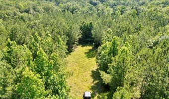 AL HWY 223, Banks, AL 36005