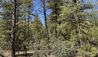 Horned Owl Lane, Bonanza, OR 97623