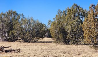 251 Se4 Juniperwood Rnch, Ash Fork, AZ 86320