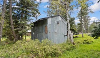 12820 Red Owl Trl, Bigfork, MT 59911