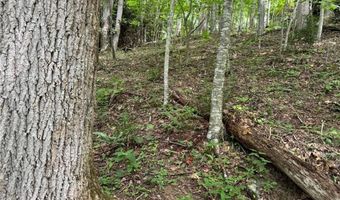 Tbd Boulder Gardens Road, Banner Elk, NC 28604