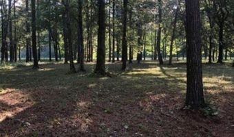 13 Cypress Point Dr, Akron, AL 35441