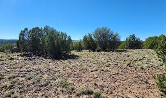 85 N 8522, Concho, AZ 85924