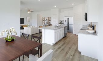 101 Peavine Way Plan: The Darwin, Alabaster, AL 35007