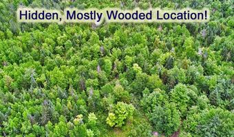 823 US RT 1, Amity, ME 04471