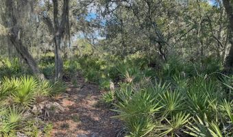 0 ALTURAS BABSON PARK CUT OFF Rd, Bartow, FL 33830