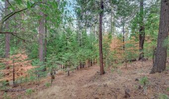 1695 Manzanita Dr, Arnold, CA 95223