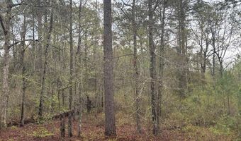 Lot 5 Jacquelyn Court, Bainbridge, GA 39819