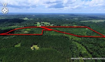 County Road 53, Banks, AL 36005
