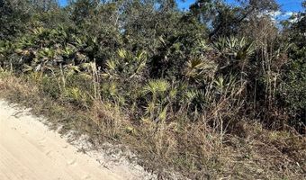 DEER CROSSING ROAD, Altoona, FL 32702