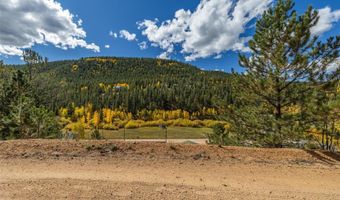103 Gross Rd, Bailey, CO 80421