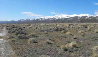 Coyote Canyon Rd, Imlay, NV 89418