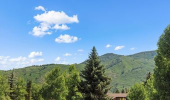 100 E Dean St 2D, Aspen, CO 81611