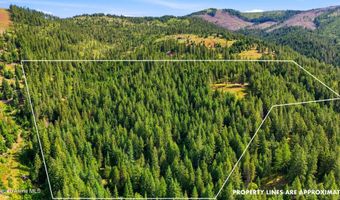 1710 Tower Mountain Rd, Blanchard, ID 83804