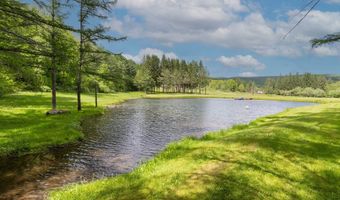2607 Lower Dingle Hill Rd, Andes, NY 13731