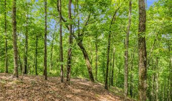 16060 US 278, Beaverton, AL 35544