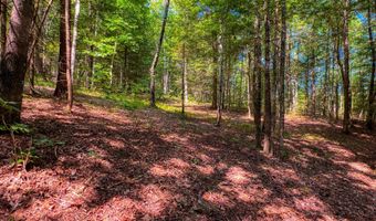 54 E Ridge Rd, Allardt, TN 38504