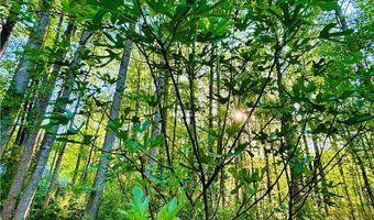 135 Brookstone Pl, Athens, GA 30605