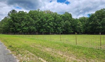 305 STOLLE FARM Rd Metes and bounds, Ashville, AL 35953