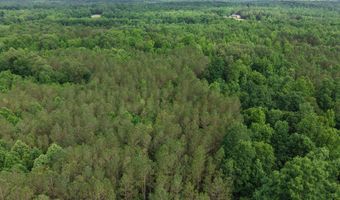 000 Fowler Rd, Beech Bluff, TN 38313