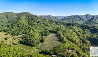 1619 Squirrel Creek Rd, Ararat, VA 24053