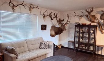1 B County Road 8285 201-34-001B, Concho, AZ 85924