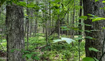 Jacobs Ladder Rd lot 9, Becket, MA 01223