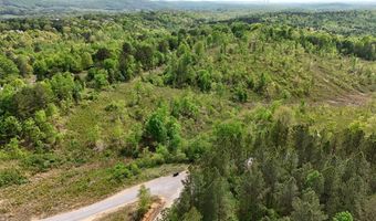 Eldridge Road lot 9, Birchwood, TN 37308