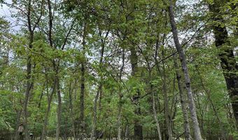 6239 Blackberry Dr, Alger, MI 48610