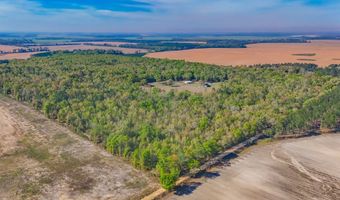 2970 Cooktown Rd, Bainbridge, GA 39817