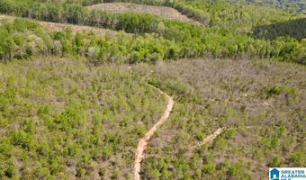 LANDFILL ROAD lot 1, Ashland, AL 36251