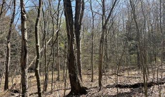 106 Road, Alma, NY 14708