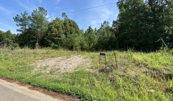 1258 Otis Paine Rd, Bethel Springs, TN 38315
